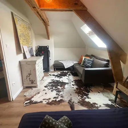 Cosy Et * サン・ロー